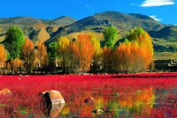 重庆到稻城亚丁自驾游路线 重庆到稻城亚丁自驾游路线安排