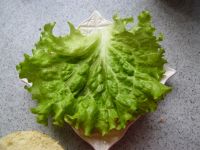 鸡柳汉堡的做法步骤7