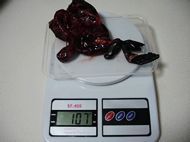 鹌鹑煲苦瓜的做法步骤1