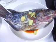 红烧罗非鱼的做法步骤1