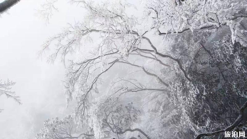 2019武功山徒步攻略2天 2019武功山徒步攻略2天