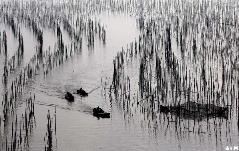 霞浦有什么必体验玩法