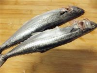 酱焖鲅鱼的做法步骤1