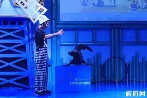 2019重庆幻太奇海洋馆八月优惠活动+游乐项目 2019重庆幻太奇海洋馆八月优惠活动+游乐项目