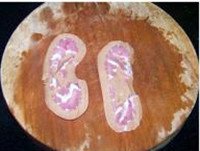 青椒花腰子的做法步骤3