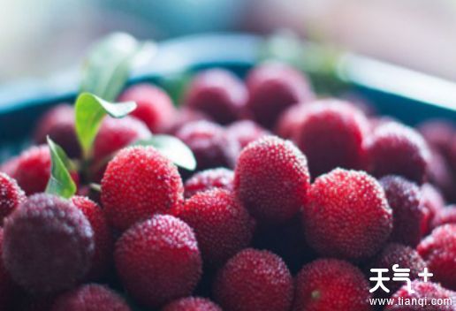 宁波慈溪知名特产有哪些