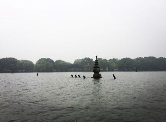 今天浙江阴雨持续下午有6级阵风 明天雨水全面停歇