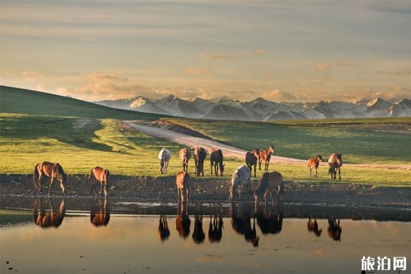 伊犁有什么娱乐项目 伊犁旅游须知