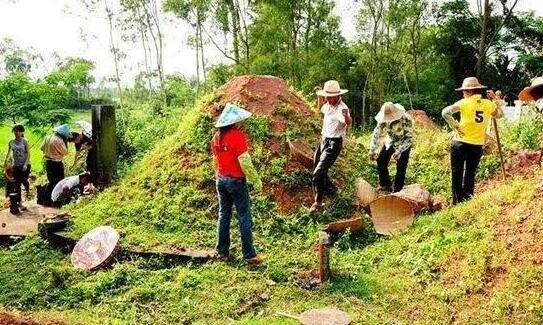 清明祭扫高峰将至 今日北京发布森林火险橙色预警