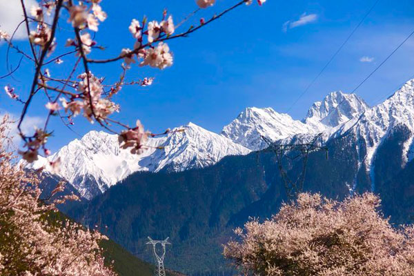 林芝桃花沟在哪 林芝桃花沟简介