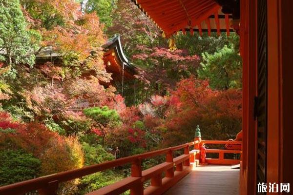 2019日本近畿地区红叶观赏时间+地点+门票+交通
