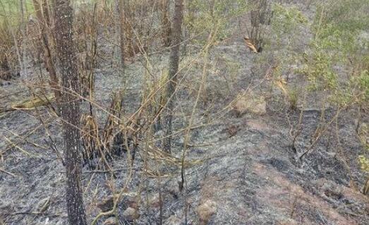 自贡民警巡逻途中突遇不明山火 目前山火扑灭无人员伤亡