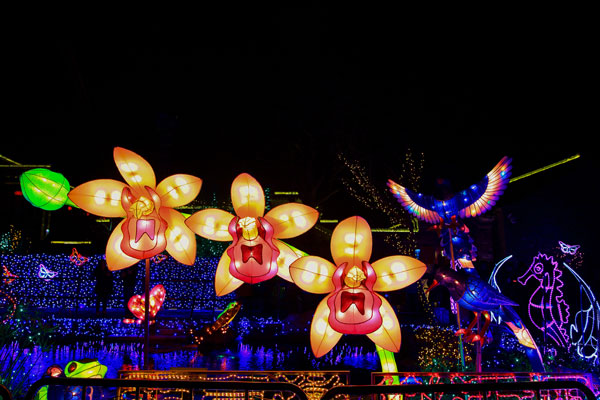 大年初一夫子庙好玩吗 南京夫子庙门票多少钱