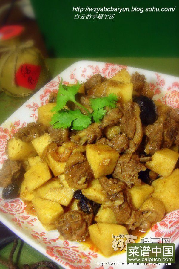 笋焖鸭肉