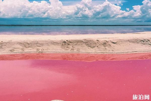 墨西哥粉红湖形成原因 墨西哥粉红湖攻略 墨西哥粉红湖形成原因 墨西哥粉红湖攻略