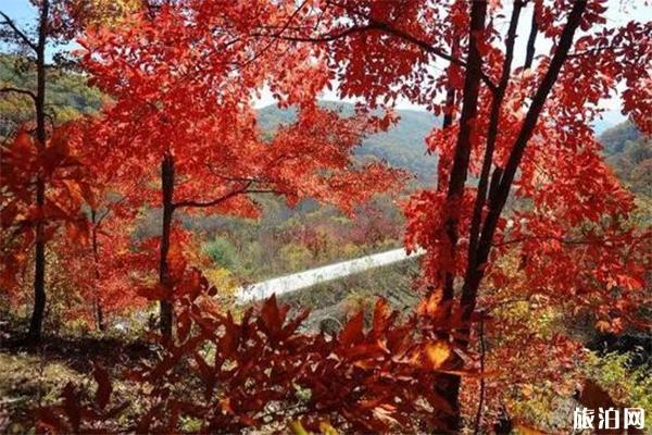 吉林周边秋季有什么好玩的地方