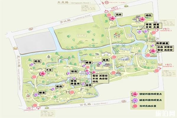 上海植物园夏季花展有什么花 上海植物园夏季花展有什么花