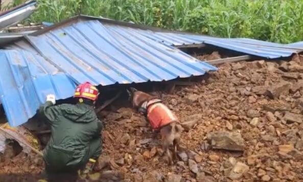 云南发生大面积山体滑坡 周边61户321人已安全转移