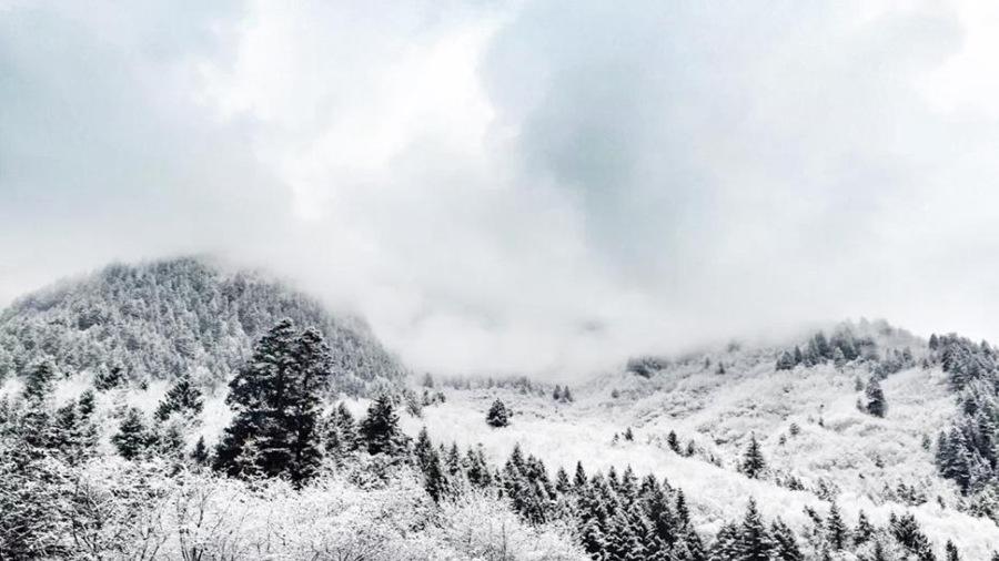 美咯！九寨沟迎来入冬第一场雪 晶莹剔透美如仙境