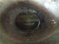 清蒸鲈鱼的做法步骤8