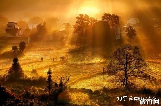 11月份适合去哪里旅游国内