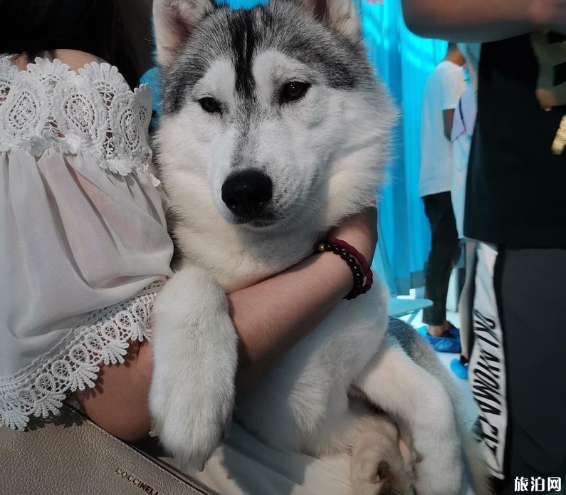 中央美术学院美术馆太虚之境怎么样 好玩吗 中央美术学院美术馆太虚之境怎么样 好玩吗