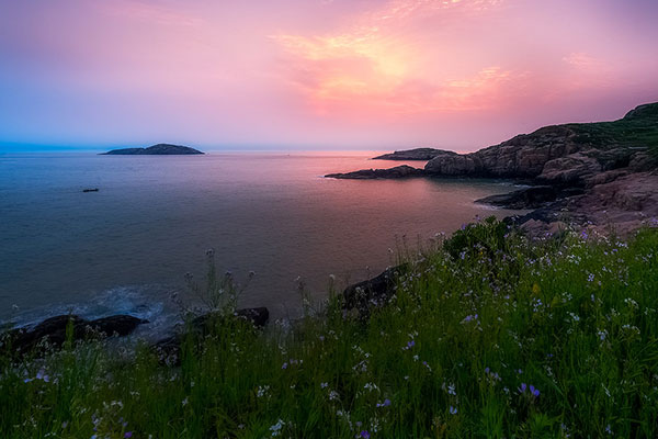 花鸟岛好玩吗 花鸟岛怎么去