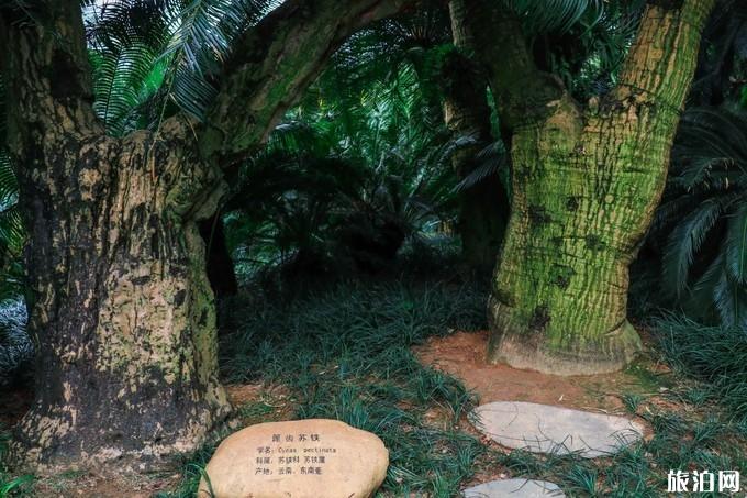 广西南宁青秀山风景区旅游攻略 广西南宁青秀山风景区旅游攻略