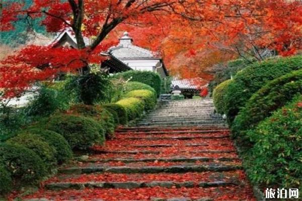 香山预约可以提前7天吗 预约方式是怎样的