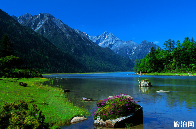 成都到莲花湖自驾游攻略