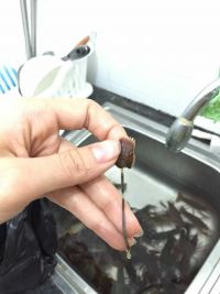 香辣啤酒小龙虾的做法步骤6