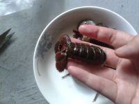 蛋烧卖的做法步骤2