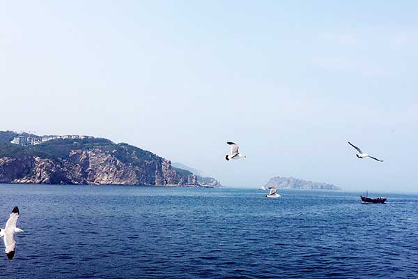 大连旅游住宿攻略 大连旅游住哪里好