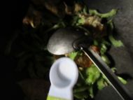 苦瓜炒鸡蛋的做法步骤7