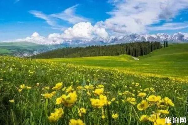 八月新疆旅游景点攻略