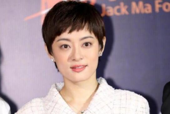 孙俪请求停止偷拍是怎么回事 孙俪斥偷拍者原因为何