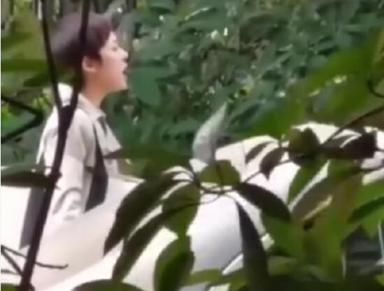 孙俪请求停止偷拍是怎么回事 孙俪斥偷拍者原因为何