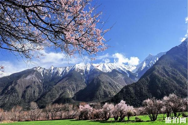 第一次西藏旅行必看攻略 第一次西藏旅行必看攻略