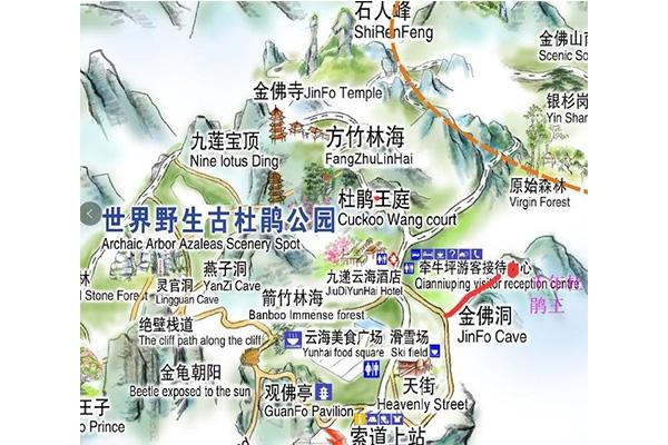 重庆金佛山一日游玩攻略