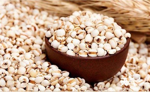 煮粥用什么米比较好 分享6种适合煮粥的米