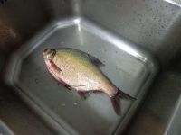 荆楚武昌鱼的做法步骤1