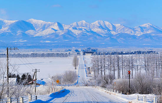 日本北海道最佳旅游时间是什么时候