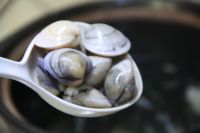 蛤蜊海带豆腐汤的做法步骤9