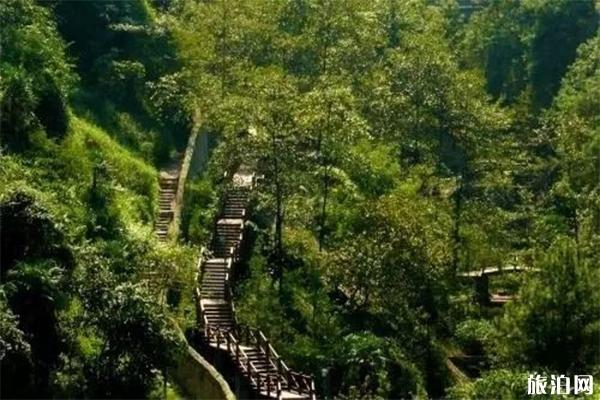 重庆周边区县景点游玩攻略