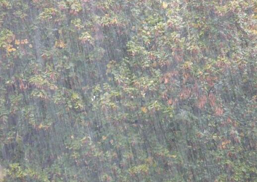 江西今日普遍大到暴雨 谨防山洪滑坡等地质灾害