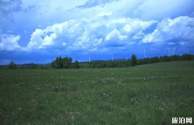 塞罕坝御道口自驾游旅游攻略