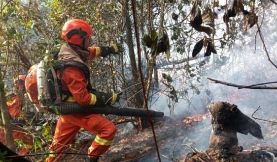 云南省大理州发生森林火灾 目前山火蔓延还未被扑灭
