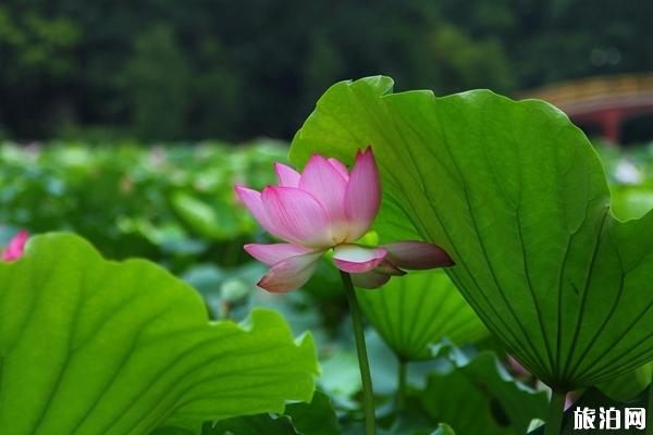 2019珠海最适合亲子游的地方 2019珠海最适合亲子游的地方