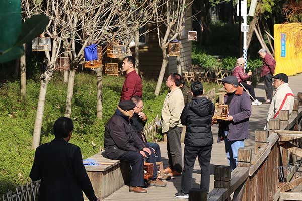 福州遇近61年来最冷早晨 福建大部有霜冻明起明显回暖