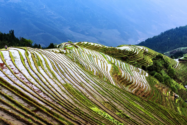 龙脊梯田什么时候去最好 龙脊梯田冬天去好看吗